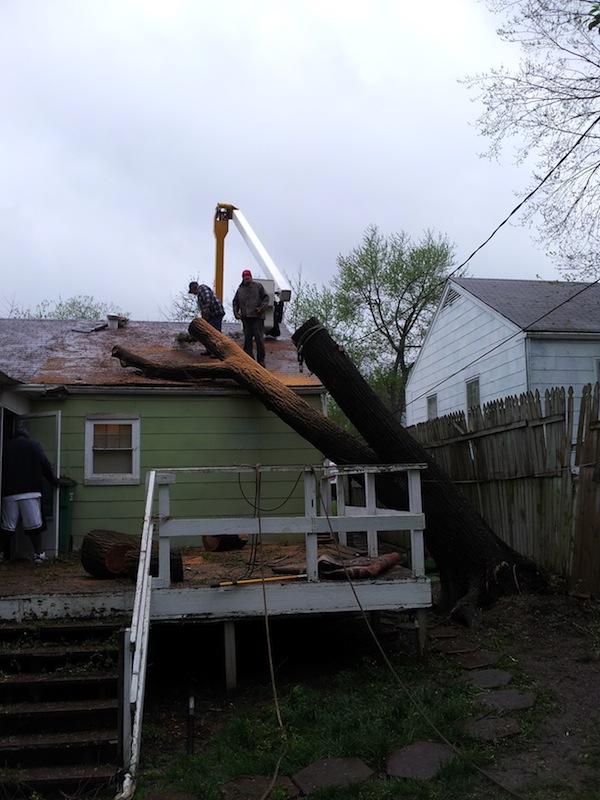 Storm Damage Tree Removal 4