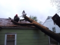 Storm Damage Tree Removal 3
